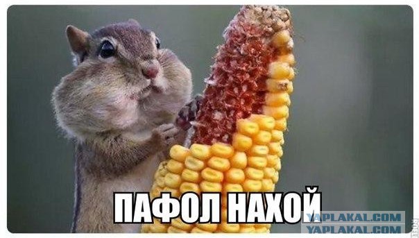 А я все жру и жру