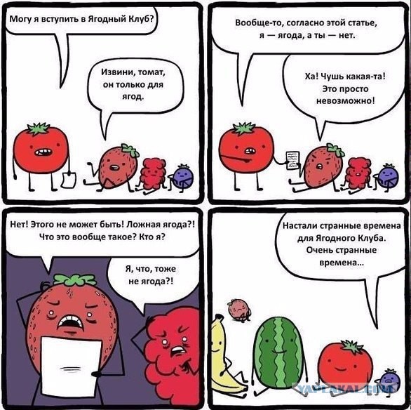 Овощ, фрукт или что вообще?