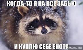 Енот, кот и хаска