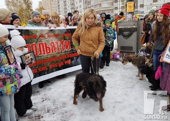 Питер против насилия
