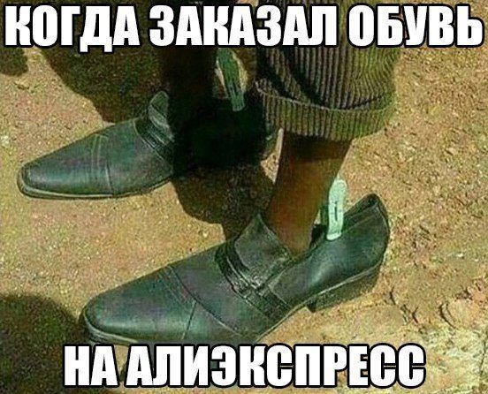 Итоги проверки пользователей