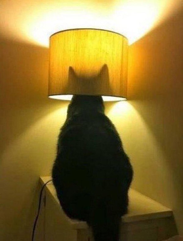 Сударь