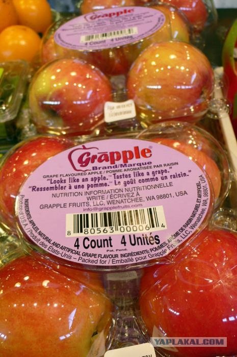 Генетически модифицированные фрукты и овощи