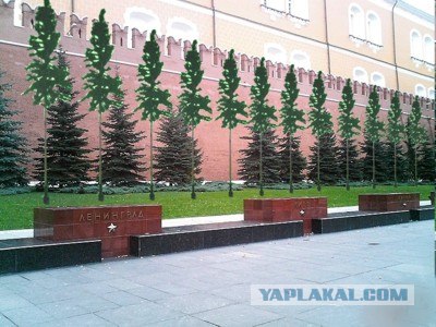 У нас в городе поставили ЙОЛКУ