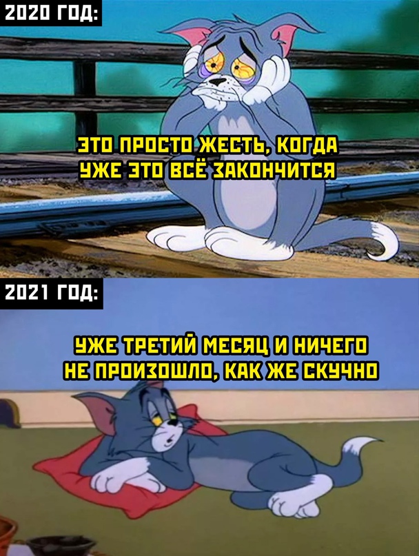 Весёлый полтишок 12.03
