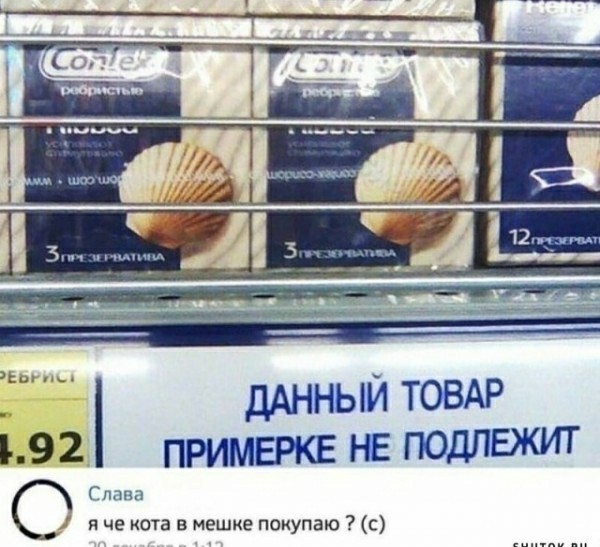 Мадам и месье бонжур