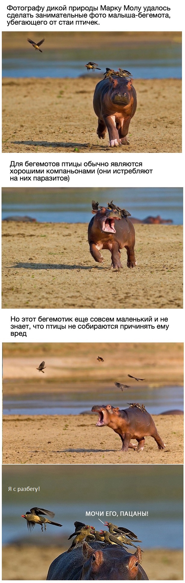 Картинки с надписями и всякие жизненные фразы 5.06.21