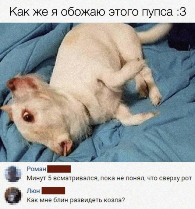 Картинки на вчера