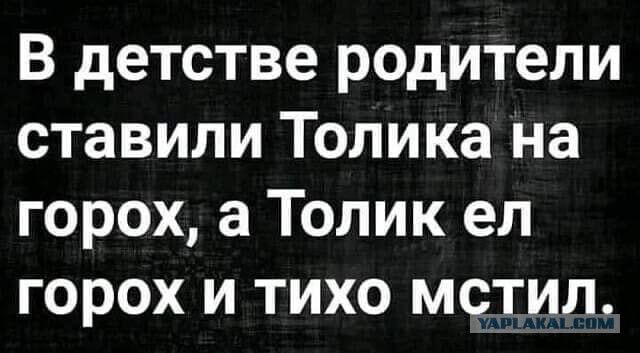 Весёлый полтишок 20.07