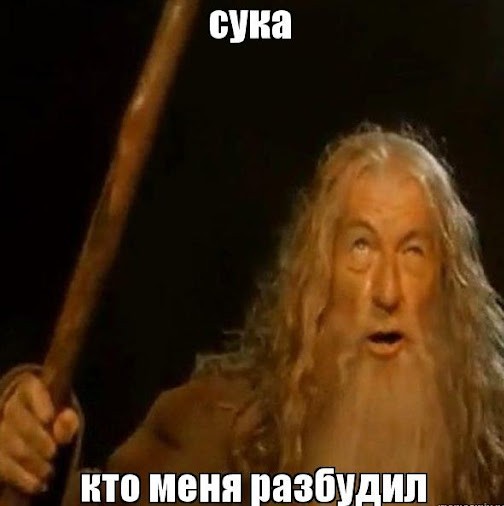 Как зимуют черепахи