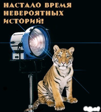 Развод на бабки и не только