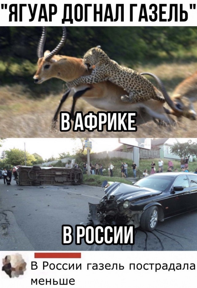 Так себе картинки 21.04.22