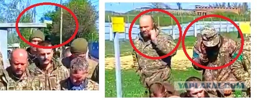 Элитные десантники 79 бригады жалуются на службу
