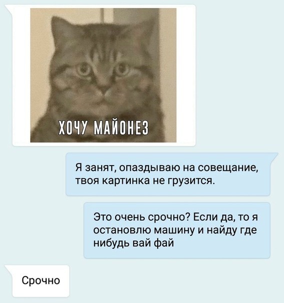 Так себе картинки 02.08.22