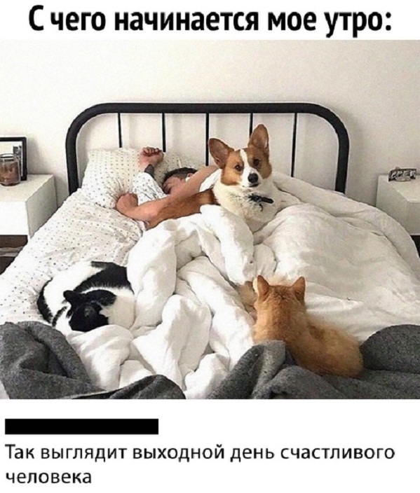 Немного картинок для настроения - 119