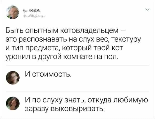 Картинки и мемы, всем хороших выходных