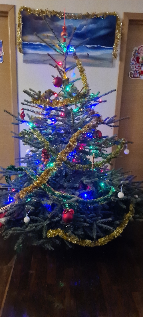 Выкладывайте свои елки!