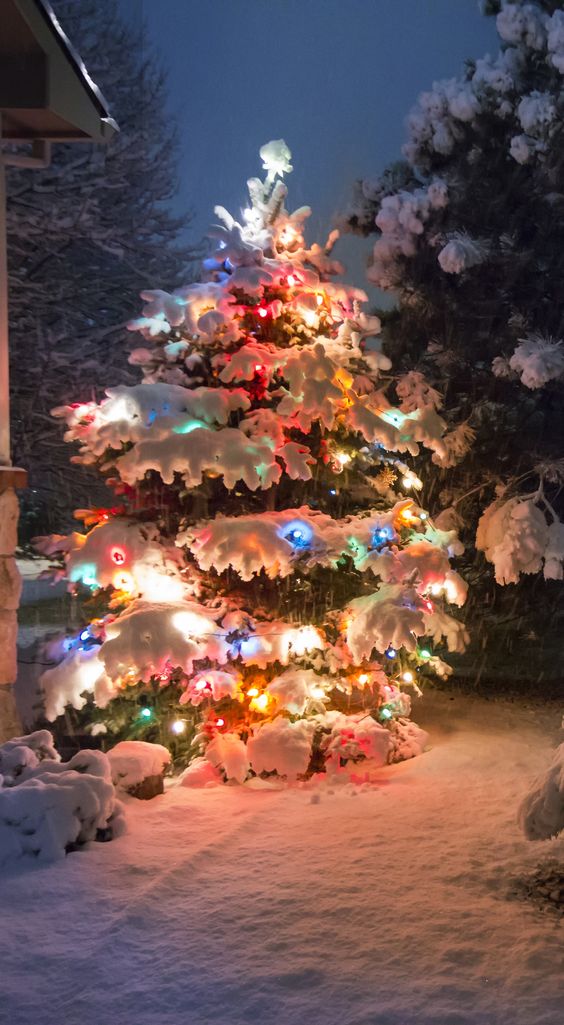 Прикольные и просто красивые картинки 30.12.2022