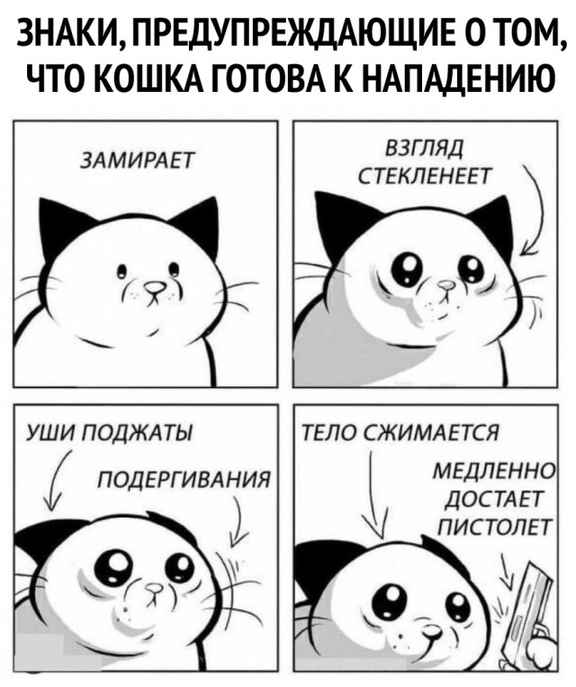 Немного картинок для настроения