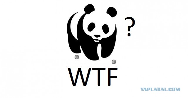Генпрокуратура признала нежелательным в России всемирный фонд природы WWF
