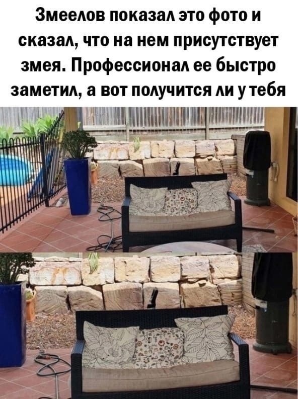 Так себе картинки 30.06.23