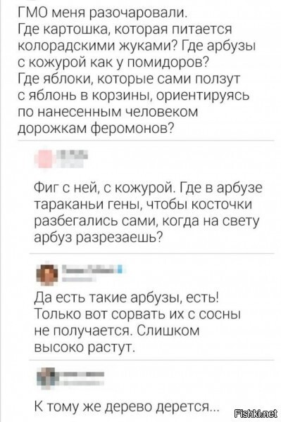 Нуштош 03.08.2023