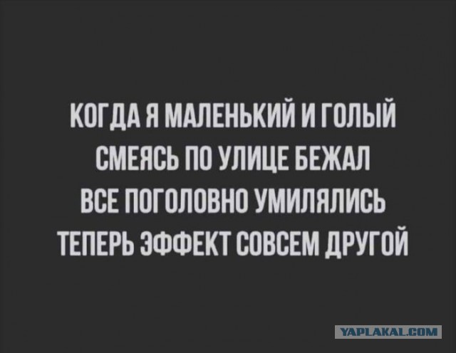 В Подмосковье резко потеплело