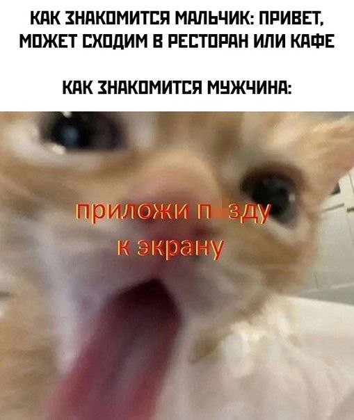 Всего понемногу. От 08.04.2024