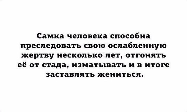 Нуштош 15.07.2024