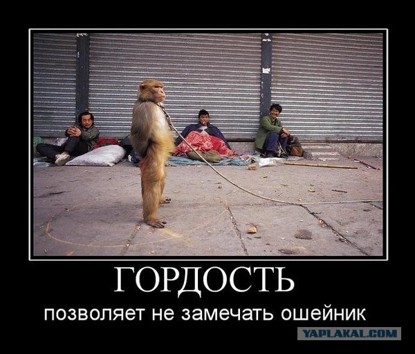 Про патриотов