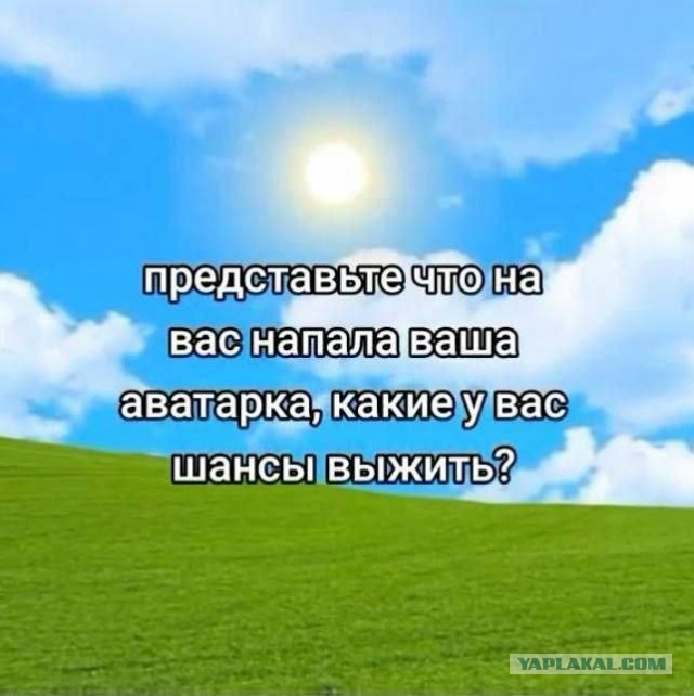Юмор в буквах за день и шесть ног