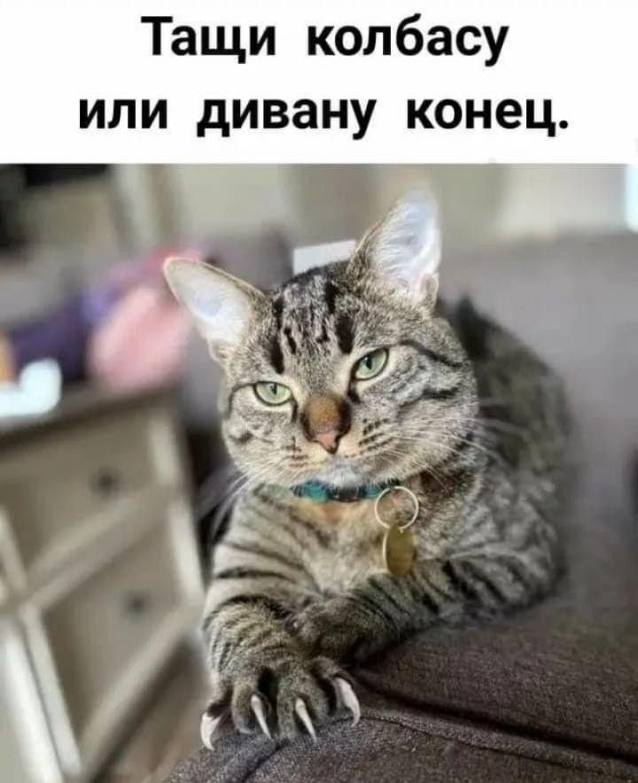 20528366.jpg