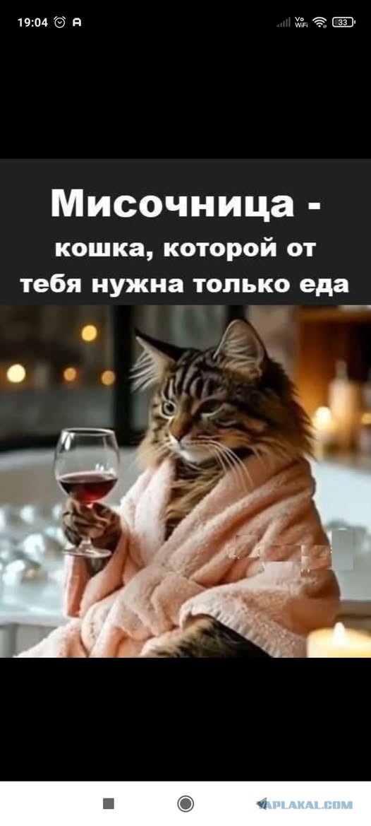 Понедельник наступил