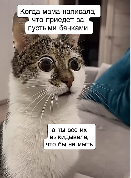 20568366.png