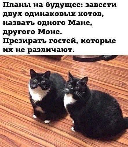 Хотите пустоты? Дарю вам частичку!