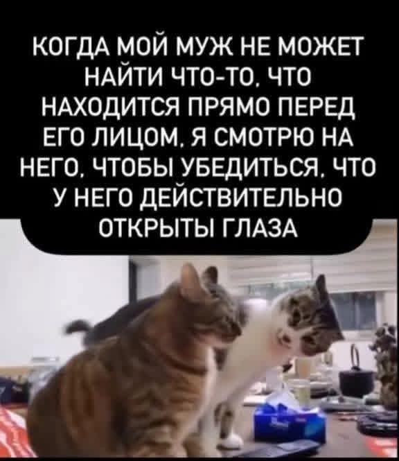 Воскресные картинки