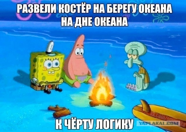 Картинки для деградации 243 (разной степени свежести)