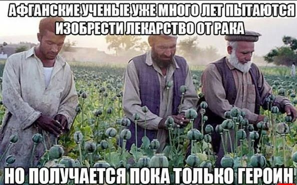 Математик Сидик Афган дал прогноз.
