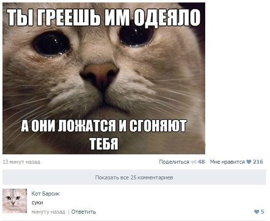 Смешные комментарии из социальных сетей