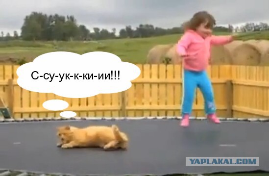 Кота трясет