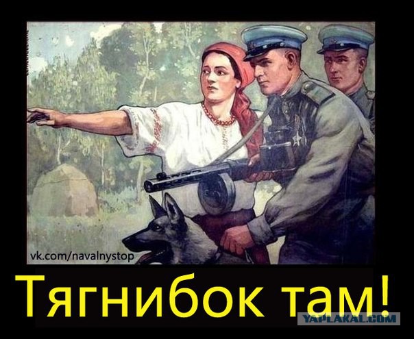 Свежее: Обращение с Донецка
