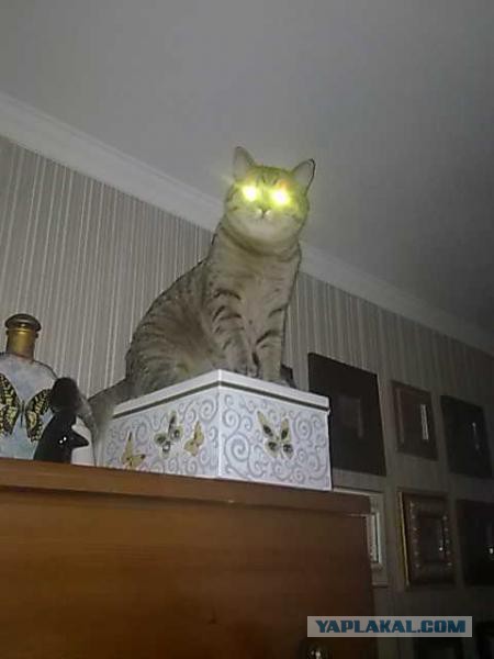 Ну что, двери откроете?
