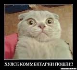 Гифки жесть