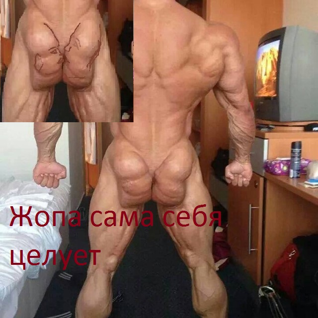 Забавные картинки из Сети