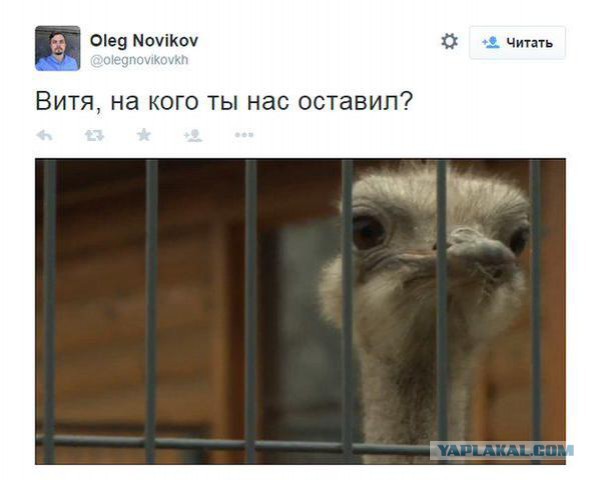 Янукович на BBC