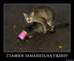 Вторник-повторник