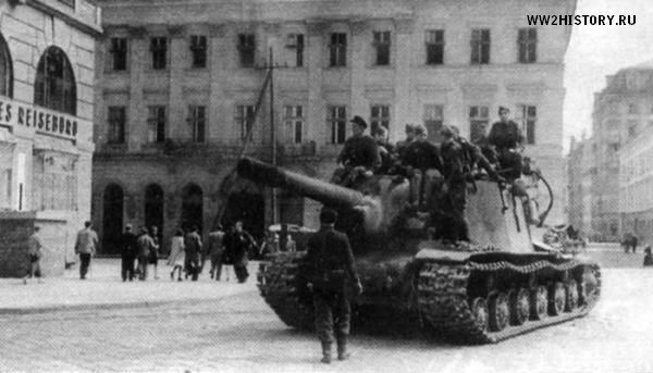 "Зверобои" Верховного главнокомандующего.