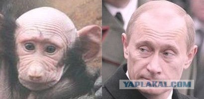 Двойники Путина и ФСБ