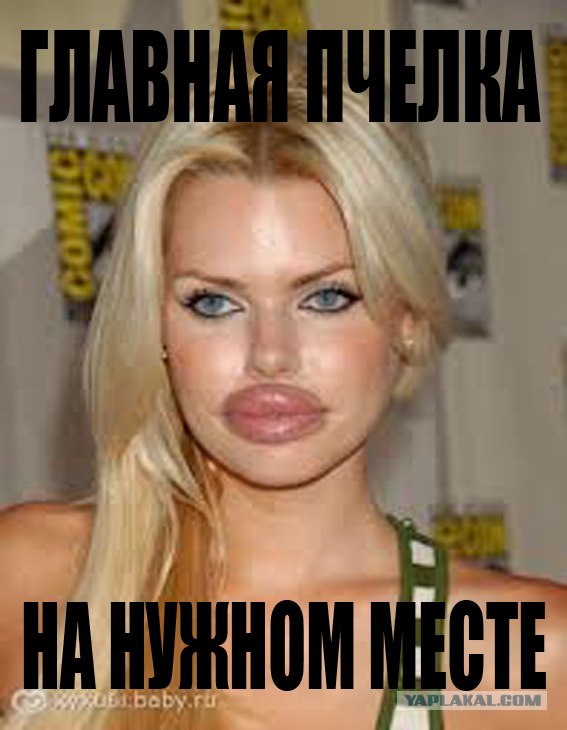 Любовь к печелам