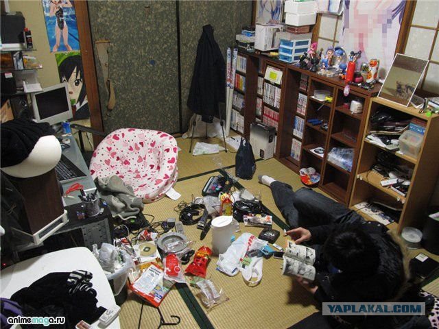 Остался жить в самолёте